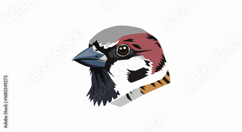 Close up illustration of a sparrow bird head with detailed feathers and markings.