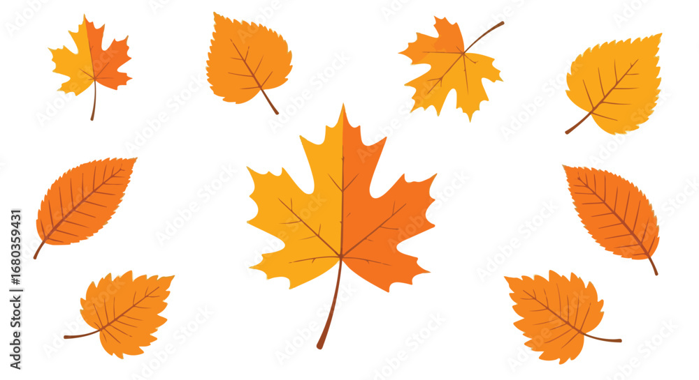 Naklejka premium A vibrant collection of autumnal leaves showcased in a captivating arrangement with stunning botanical elements and diverse foliage, reminiscent of
