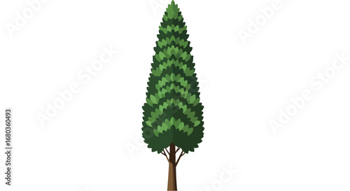 Stylized coniferous evergreen tree stands tall against a plain background offering a clean and nature-inspired element perfect for graphic design