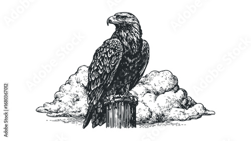 Majestic Eagle Perched on Column Amidst Wispy Clouds in Vintage Engraving Style. Vector hand drawn illustration