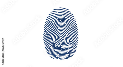 Blue fingerprint illustration, a unique digital representation of identity verification and personal identification with clear lines on a white