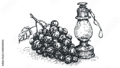 Vintage Oil Lamp and Grapes Drawing. Vector hand drawn illustration