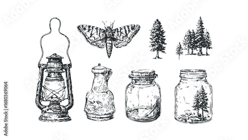 Vintage lantern moth and forest jars collection sketched on transparent background. Vector hand drawn illustration