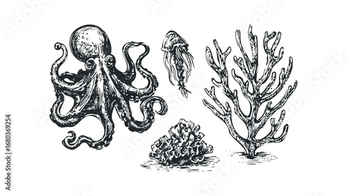 Hand drawn sketch of an octopus and marine life on a white background. Vector hand drawn illustration