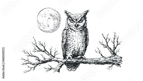 Ink sketch of an owl perched on a branch under a full moon. Vector hand drawn illustration