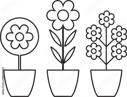 Three potted flowers, each with a unique floral design, perfect for adding a touch of nature to any project