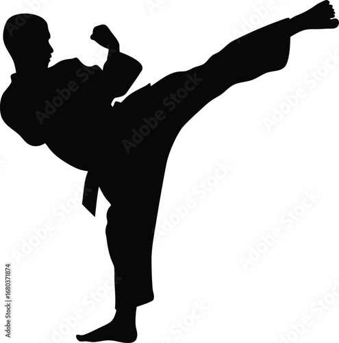 Vector silhouette of a martial artist performing a powerful high side kick