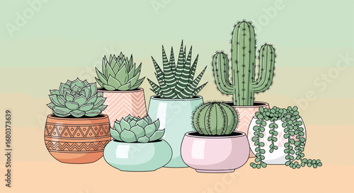 A potted green succulent plant with sharp leaves is isolated against a white background