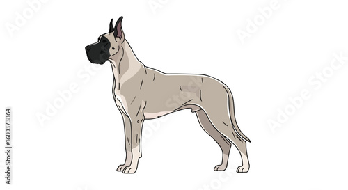 Elegant depiction of a Great Dane breed showcasing its poised stance and muscular physique standing on a plain white backdrop