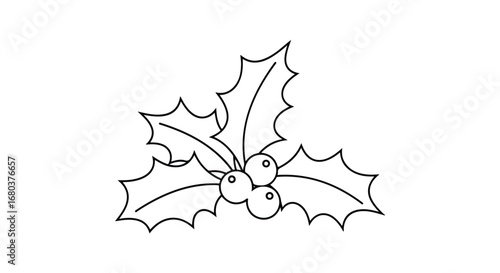 Elegant holly branch illustration, a timeless symbol of winter holidays, perfect for greeting cards and festive designs, minimalist style, clean