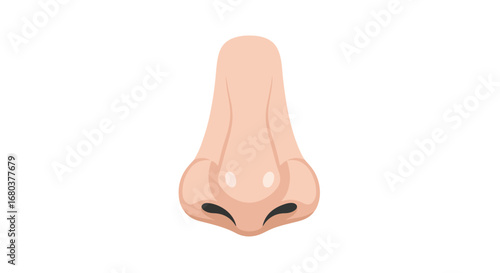 Graphic illustration of a human nose depicted in a stylized and simplistic manner with soft shading details representation