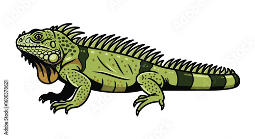 Stylized vector illustration of a green iguana with spiky scales and patterned skin, isolated on a white background