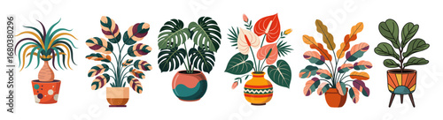 Colorful abstract funky house plants in pots, mid-century modern retro style with geometric patterns, perfect for vibrant, stylish decor and graphic design projects
