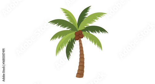 Stylized coconut palm tree illustration with tropical leaf design and clear isolated background showcasing vacation vibe isolated tree element