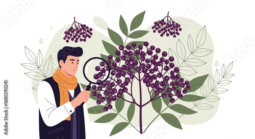 Scientist Analyzing Purple Berries with Magnifying Glass, Botanical Study Illustration