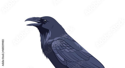 Captivating raven illustration, a sleek dark bird showcasing detailed feathering and vibrant hues with beak open, against a clean white backdrop