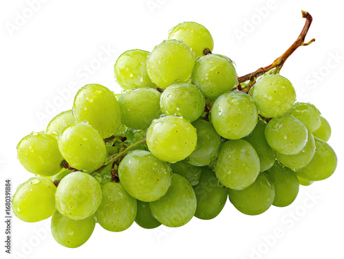 Fresh green grapes with water droplets