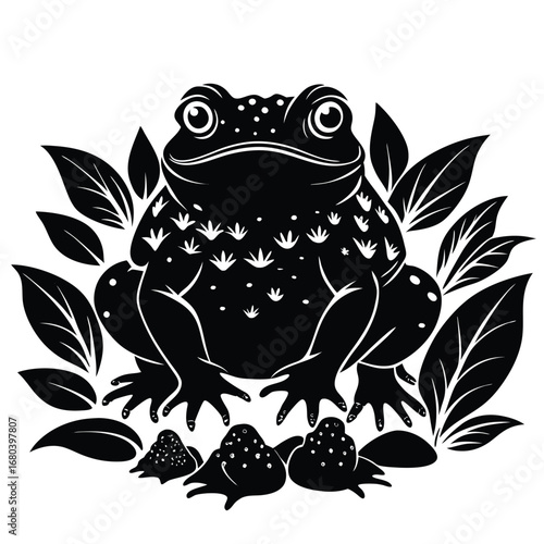 vector illustration of a frog