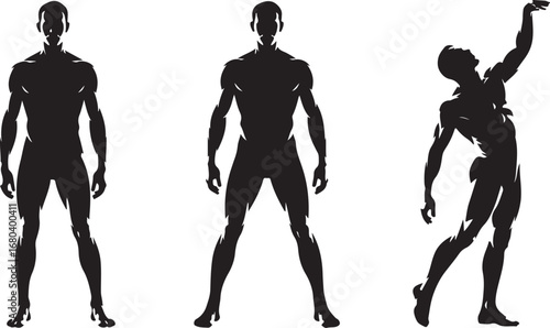 Male Silhouette Vector Illustration

Strong Man Silhouette Design

Modern Male Outline Graphic