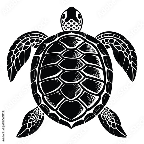 turtle vector illustration