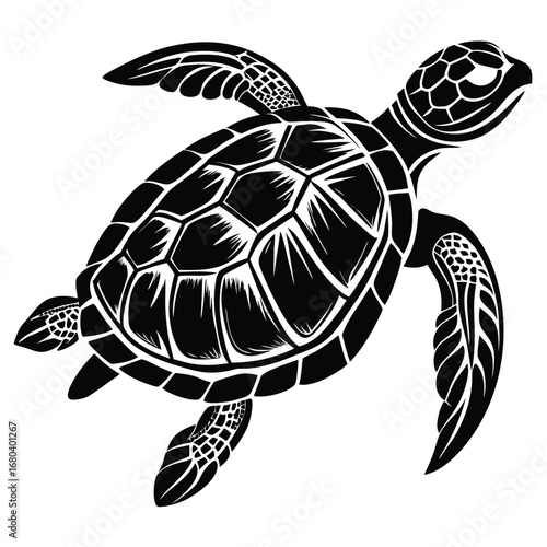 turtle vector illustration