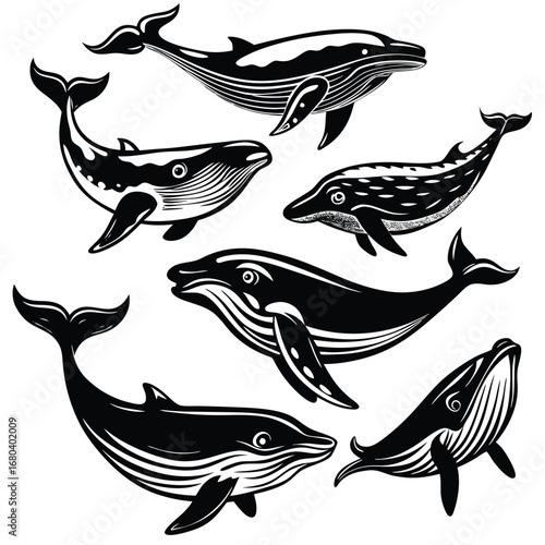 vector illustration of a fish