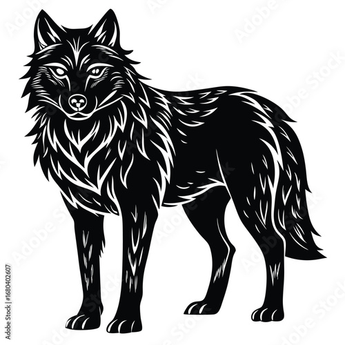 wolf vector illustration