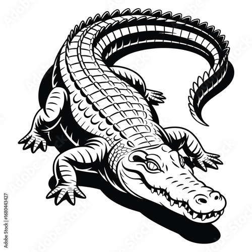 hand drawn crocodile