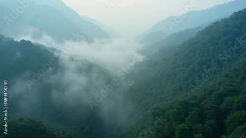 Wallpaper Mural Aerial view of tropical forest with mist in the morning. Top view from drone of beautiful mountain tropical forest during winter in Thailand. Natural landscape background. Torontodigital.ca