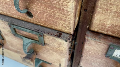 a group of bee or flies in an antique wooden box drawer