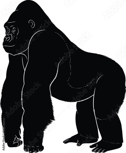 Gorilla Silhouette Vector – Wild Primate Black and White Clipart, Strong Ape Graphic, Wildlife Illustration