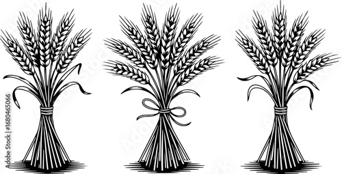 "Harvest Gold – Wheat Sheaf Vintage Illustration"