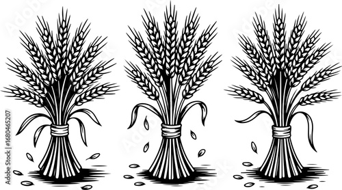 "Harvest Gold – Wheat Sheaf Vintage Illustration"