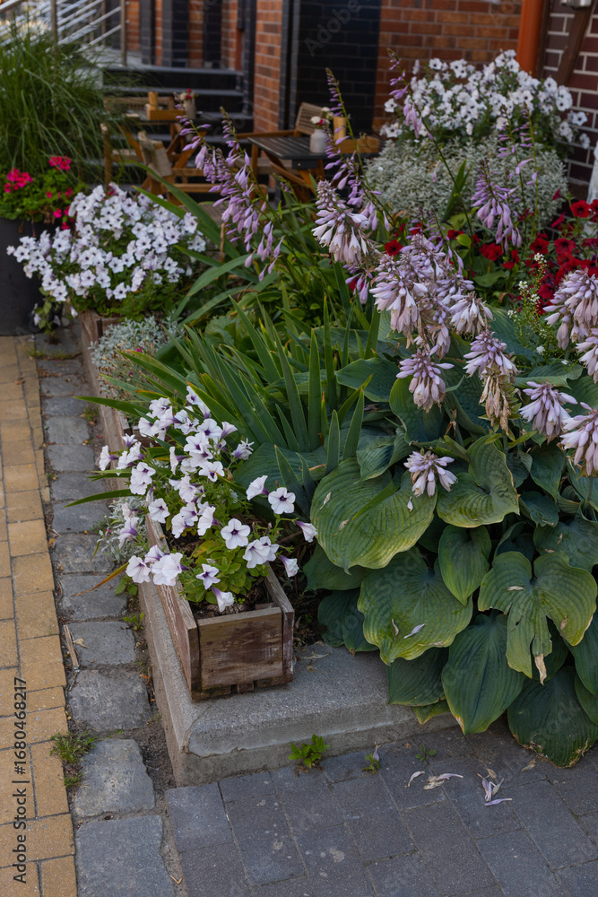 Obraz premium street flower bed 