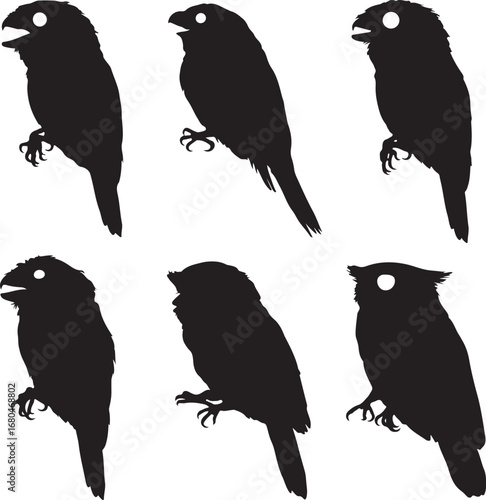 Black bird silhouettes with white eyes vector