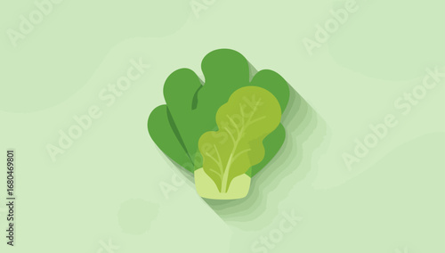 Stylized Lettuce Head with Broad Green Leaves and Pale Green Inner Leaves