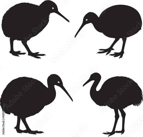 Four black kiwi bird silhouettes white background