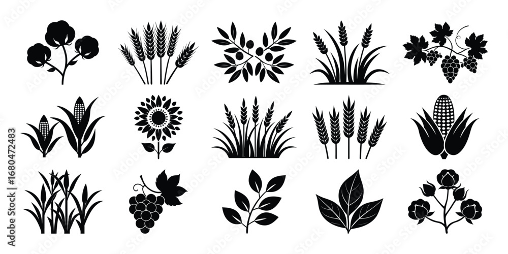 Collection of Black and White Agricultural Plant Silhouettes and Icons Collection of Black and White Agricultural Plant Silhouettes and Icons