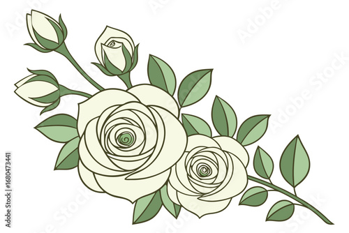 Elegant ivory roses adorned with verdant leaves create a beautiful floral botanical arrangement on transparent background