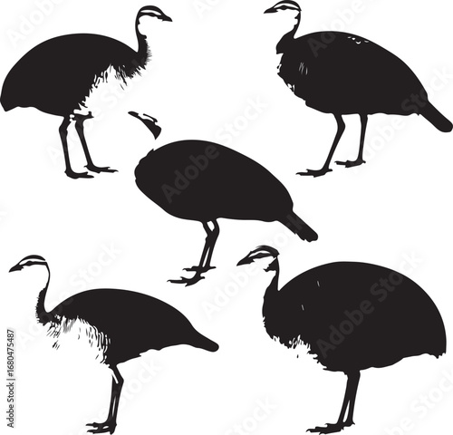 Black silhouettes of birds with long necks and legs