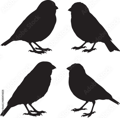 Four black bird silhouettes facing each other birds