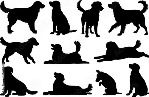 Dog Training and Companion Silhouettes Collection vector bundle