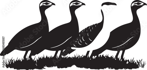 Four birds standing on grass black and white silhouette