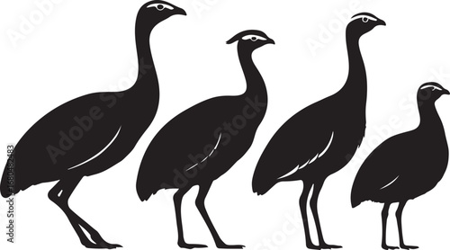 Four black bird silhouettes birds white background