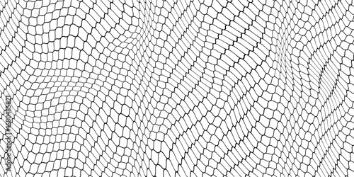 Black snake skin pattern isolated on white background. vector