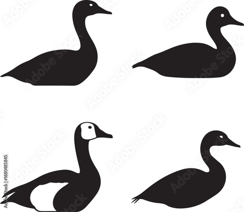Black silhouette geese and ducks goose bird
