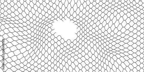 Opening in a metal fence isolated on a white background. Chain link, wire mesh, wire mesh, cyclone fence.