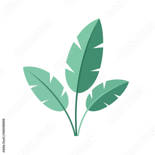Stylized illustration of three tropical leaves against a white background.