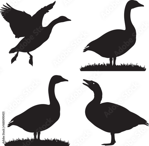 Four geese silhouettes in various poses goose bird
