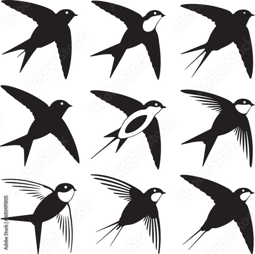 Black swallows in flight bird flying
